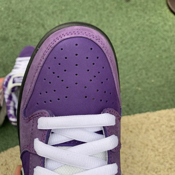 NIKE SB DUNK LOW CONCEPTS PURPLE LOBSTER