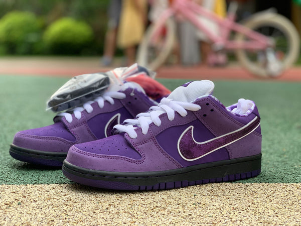 NIKE SB DUNK LOW CONCEPTS PURPLE LOBSTER