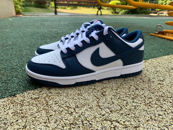 Nike Dunk Low Valerian Blue