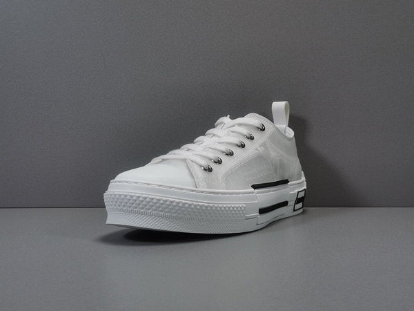 DIOR B23 LOW TOP OBLIQUE