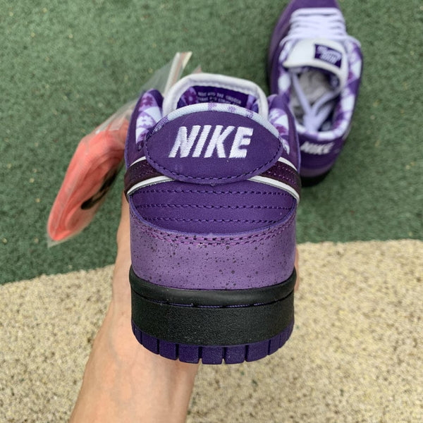 NIKE SB DUNK LOW CONCEPTS PURPLE LOBSTER