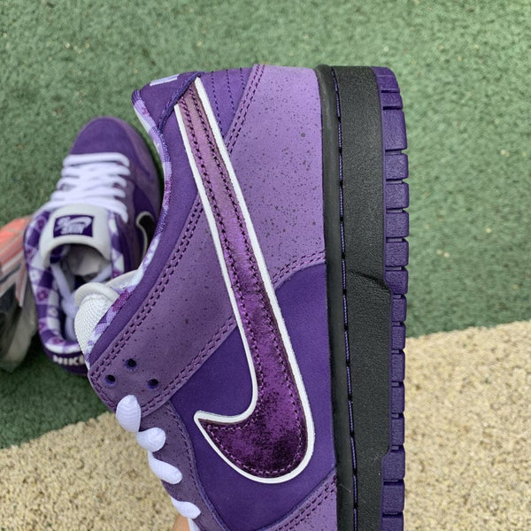 NIKE SB DUNK LOW CONCEPTS PURPLE LOBSTER